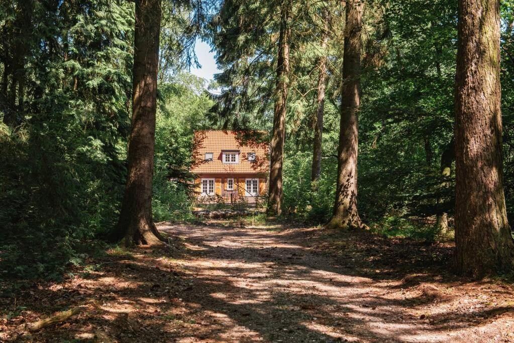 Fantastisch Familiehuis Met Grote Tuin I Bosrijk 룬터렌 외부 사진
