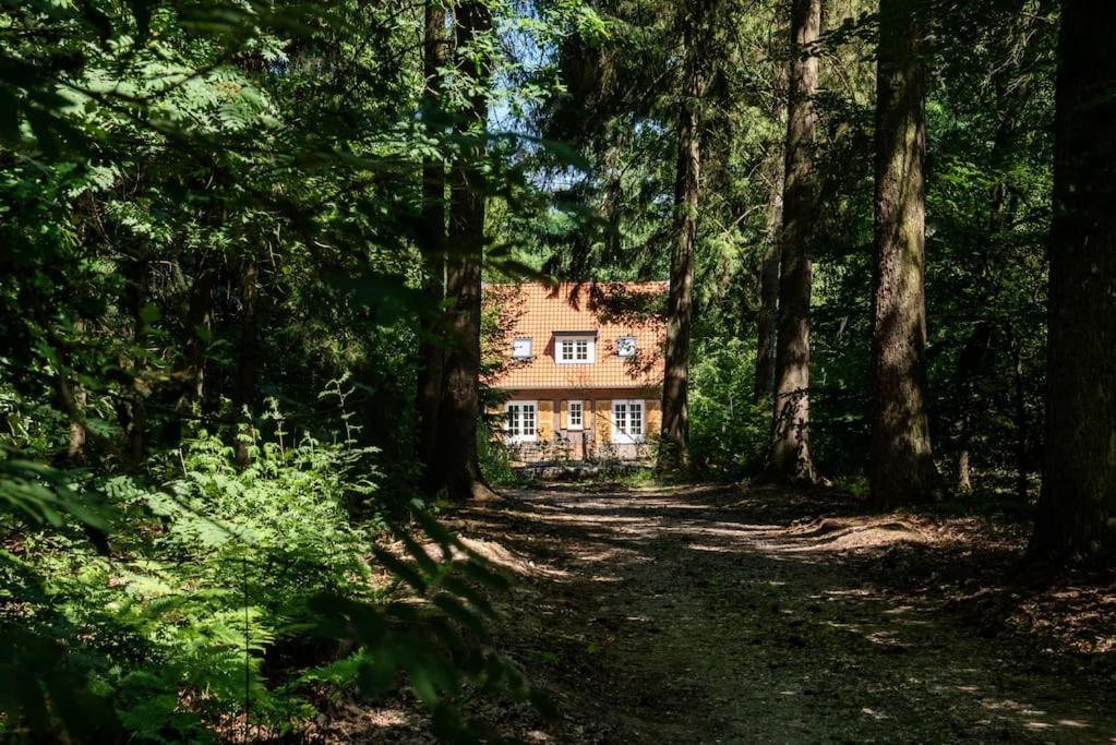 Fantastisch Familiehuis Met Grote Tuin I Bosrijk 룬터렌 외부 사진
